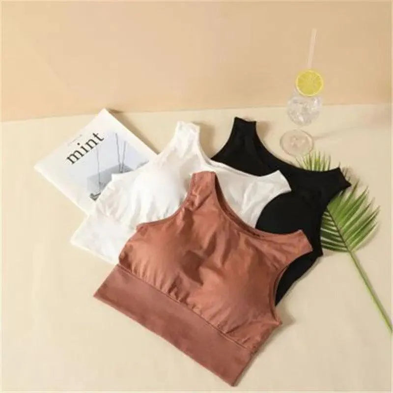 Sizzling Sports Bra For Women Solid Yoga Top Fitness Pad Bra Girl Active Wear Workout Running Sportswear Breathable Soft Bra Stevvex