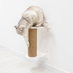Small Cat Tree – White