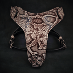 The ''Rock Python'' harness - SJB-DIAMOND ELITES