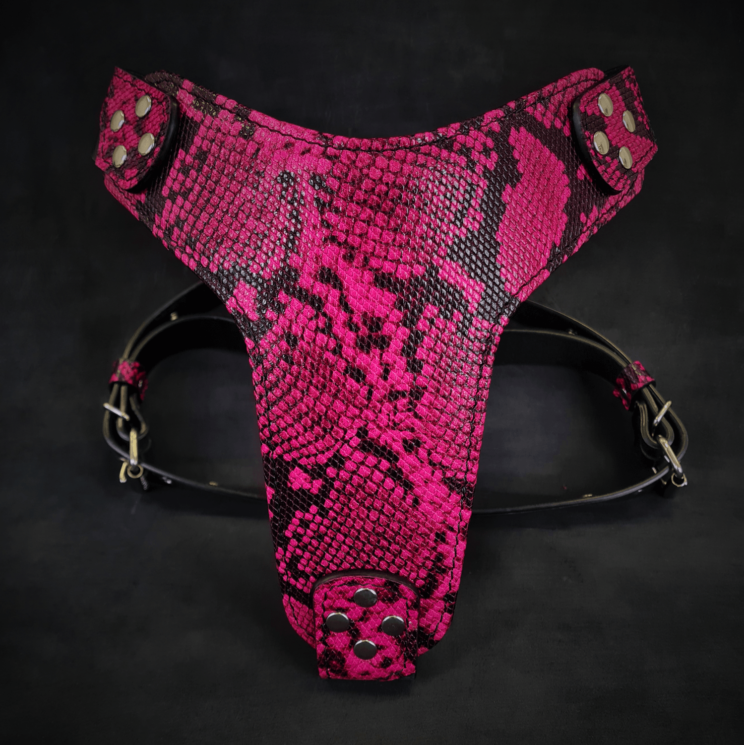 The ''Rock Python'' harness PINK - SJB-DIAMOND ELITES