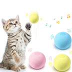 Smart Cat Toys Ball Catnip Cat Training Toy Pet Playing Ball Pet Products Toy for Cats Interactive Chirping Balls Cat Kicker Toys Fun Catnip Toys for Cat Exercise Stevvex
