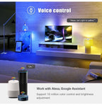 Smart Light Bulb E27 LED Lamp RGB+White+Warm White Work With Alexa Google Home Dimmable Timer Function RGB LED Bulb Bulb-Timer  Sunrise  Sunset Dimmable Multicolo Warm White No Hub Required Compatible With Alexa Google Home Assistant Stevvex