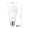 Smart Light Bulb E27 LED Lamp RGB+White+Warm White Work With Alexa Google Home Dimmable Timer Function RGB LED Bulb Bulb-Timer  Sunrise  Sunset Dimmable Multicolo Warm White No Hub Required Compatible With Alexa Google Home Assistant Stevvex