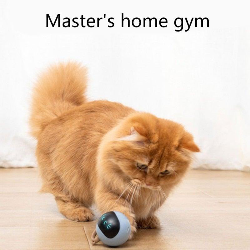 Smart Pet Toy USB Rechargeable Sports Ball Funny Chaser Roller Toy The Best Entertainment Exercise Gift For Smart Cat Toy Electric Jumping Ball Self Rotating Toys Rolling Jumping Ball  For Cats Stevvex