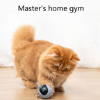 Smart Pet Toy USB Rechargeable Sports Ball Funny Chaser Roller Toy The Best Entertainment Exercise Gift For Smart Cat Toy Electric Jumping Ball Self Rotating Toys Rolling Jumping Ball  For Cats Stevvex