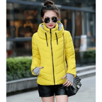 Soft And Comfortable Winter Jacket For Women Short Women's Thicken Outerwear In solid hooded Coats Zipper For Female Slim Cotton padded basic tops Stevvex