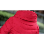 Soft And Comfortable Winter Jacket For Women Short Women's Thicken Outerwear In solid hooded Coats Zipper For Female Slim Cotton padded basic tops Stevvex