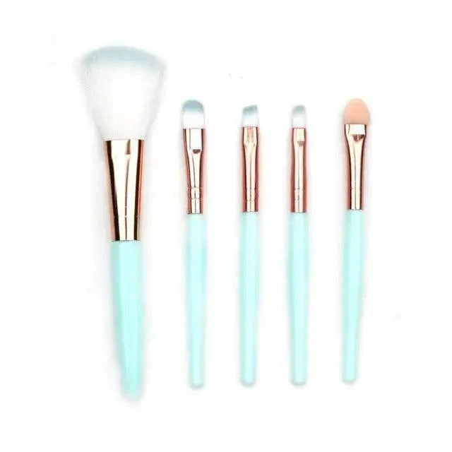 Soft And Cute 5Pcs Makeup Brushes Set Eye Shadow Eyebrow Eyeliner Blush Loose Foundation Powder Professional Lip Women Cosmetic Tools Stevvex