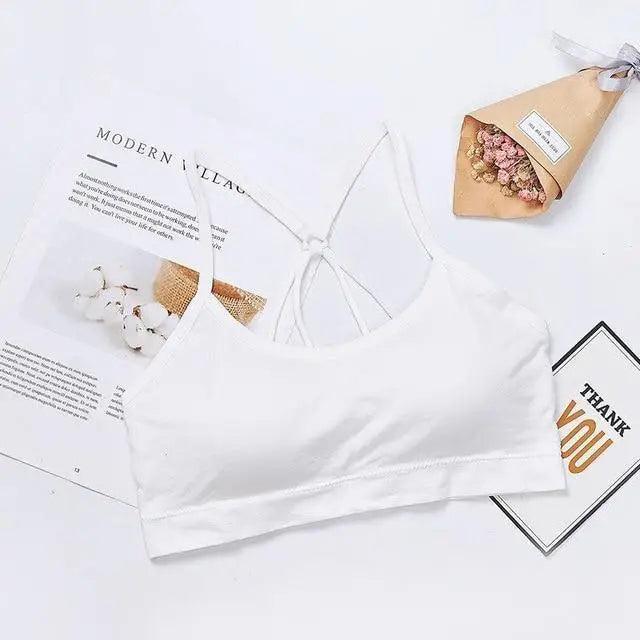Soft And Stylish Women Sports Bra Girls Tops High Impact For Gym Top Fitness Yoga Running Sportswear For Females Stevvex