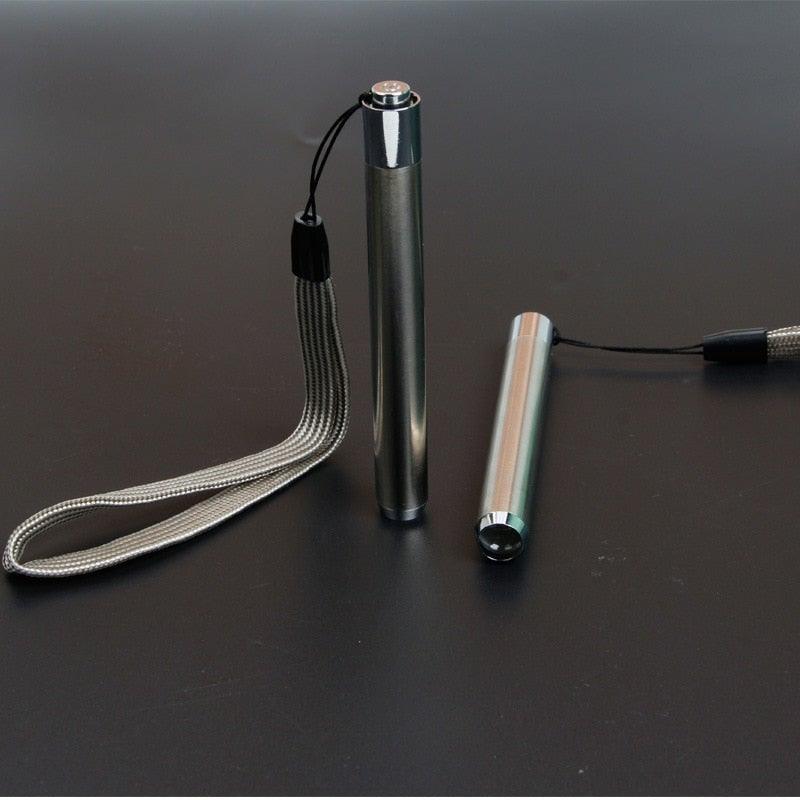 Stainless Steel Mini Pocket UV Black Light Flashlight Led Lamp Portable Flashlight Ultraviolet Pen Lights For Leak Pet Urine Bed Bug  Dry Stain & Dye Detector Marker Checker Detection Stevvex