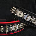 The "Steel" collar Bestia Dog Gear