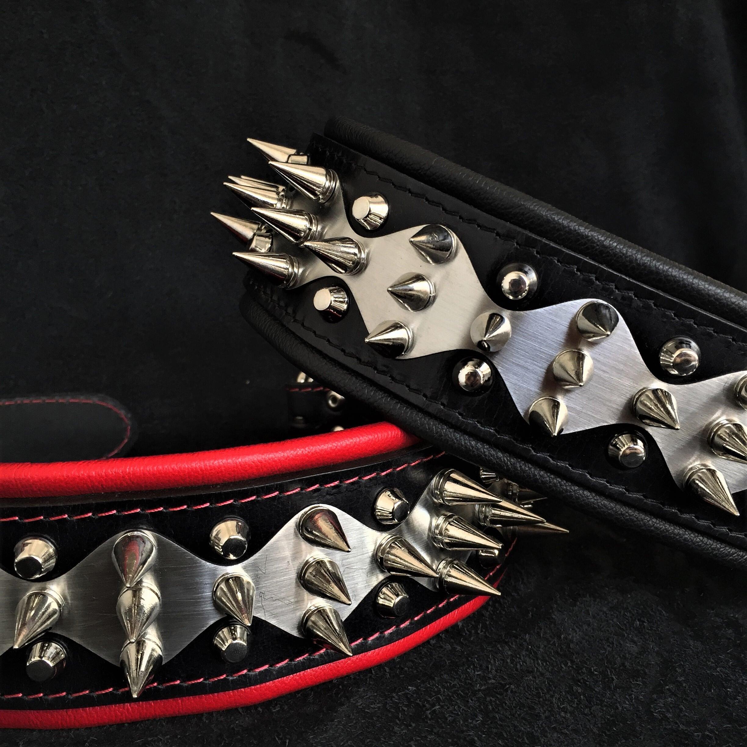 The "Steel" collar Bestia Dog Gear