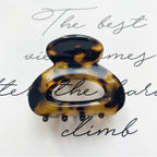 Sweet Mini Acetate Hair Clip for Women Girls Hair Claw Chic Barrettes Crab Hairpins Styling Claw Clips Fashion Hair Gorgeous Hair Accessories For Women Stevvex