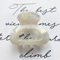 Sweet Mini Acetate Hair Clip for Women Girls Hair Claw Chic Barrettes Crab Hairpins Styling Claw Clips Fashion Hair Gorgeous Hair Accessories For Women Stevvex