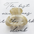 Sweet Mini Acetate Hair Clip for Women Girls Hair Claw Chic Barrettes Crab Hairpins Styling Claw Clips Fashion Hair Gorgeous Hair Accessories For Women Stevvex