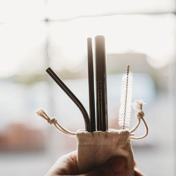 Stainless Steel Reusable Straw Set 5-Piece With Cleaner Bag Eco Dishwasher BandsCo Straps