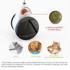 Swing Toys for Cats Kitten Interactive Balance Car Cat Chasing Toy With Catnip Funny Pet Products Indoor Cats Chaser Toys with Feather Catnip Ball Balanced Exercise Wheel Toy for Cats Chasing Hunting Playing Stevvex