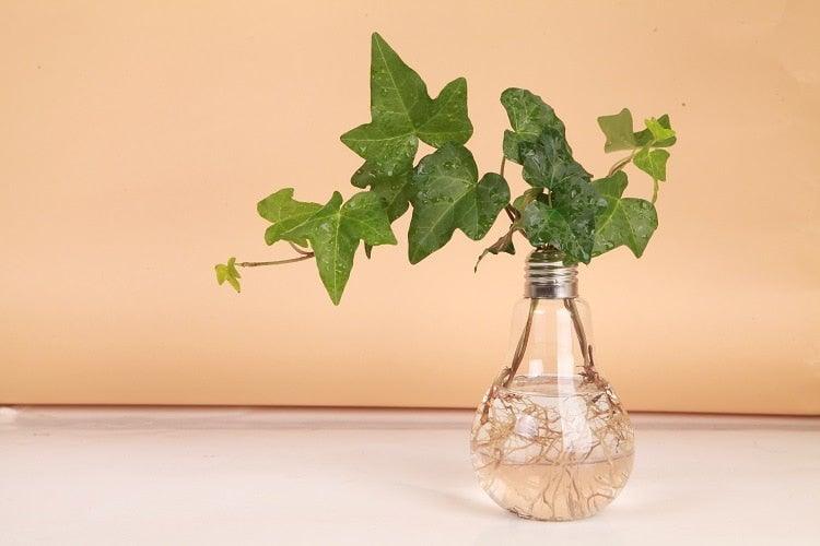 Transparent Glass Bulb Lamp Shape Flower Water Plant Hanging Vase Hydroponic Container Pot For Home Wedding Decoration for Wedding Living Room, Office Party Gift Vase Stevvex