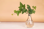 Transparent Glass Bulb Lamp Shape Flower Water Plant Hanging Vase Hydroponic Container Pot For Home Wedding Decoration for Wedding Living Room, Office Party Gift Vase Stevvex