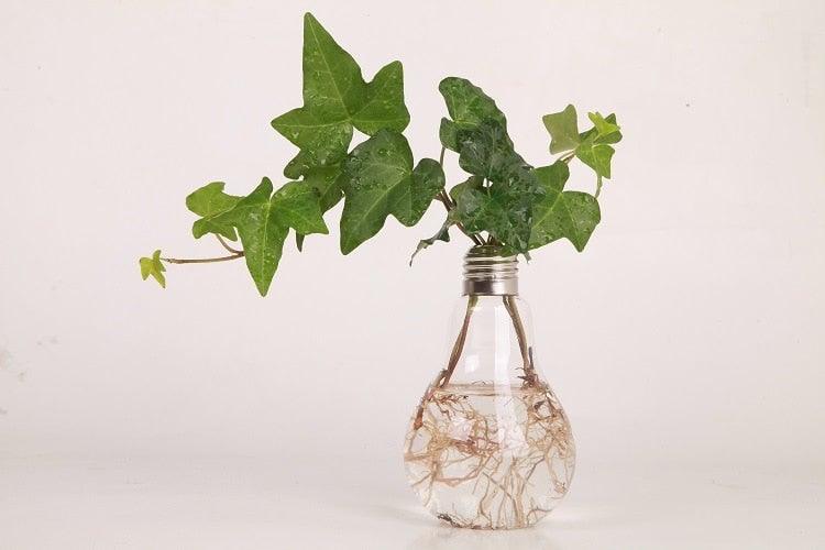 Transparent Glass Bulb Lamp Shape Flower Water Plant Hanging Vase Hydroponic Container Pot For Home Wedding Decoration for Wedding Living Room, Office Party Gift Vase Stevvex