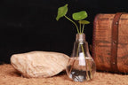 Transparent Glass Bulb Lamp Shape Flower Water Plant Hanging Vase Hydroponic Container Pot For Home Wedding Decoration for Wedding Living Room, Office Party Gift Vase Stevvex