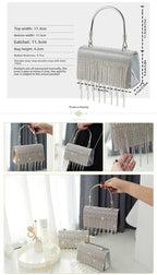 GlitteringTassel Rhinestone Small Square Bag Evening Dinner Bag Party Bag Metal Tote Bag Cosmetic Bag - SJB-DIAMOND ELITES