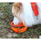 Universal Colorful Collapsible Silicone Dog Food Water Bowl Foldable Cup Dish For Pet Portable Travel Bowl For Dog Stevvex