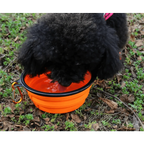 Universal Colorful Collapsible Silicone Dog Food Water Bowl Foldable Cup Dish For Pet Portable Travel Bowl For Dog Stevvex