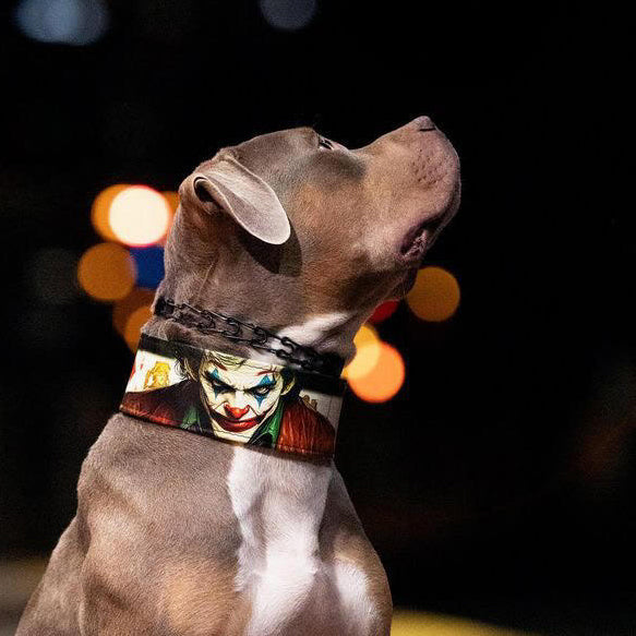 The Joker Limited Collar - SJB-DIAMOND ELITES
