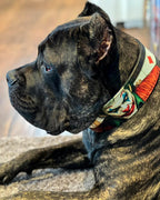 The Joker Limited Collar - SJB-DIAMOND ELITES