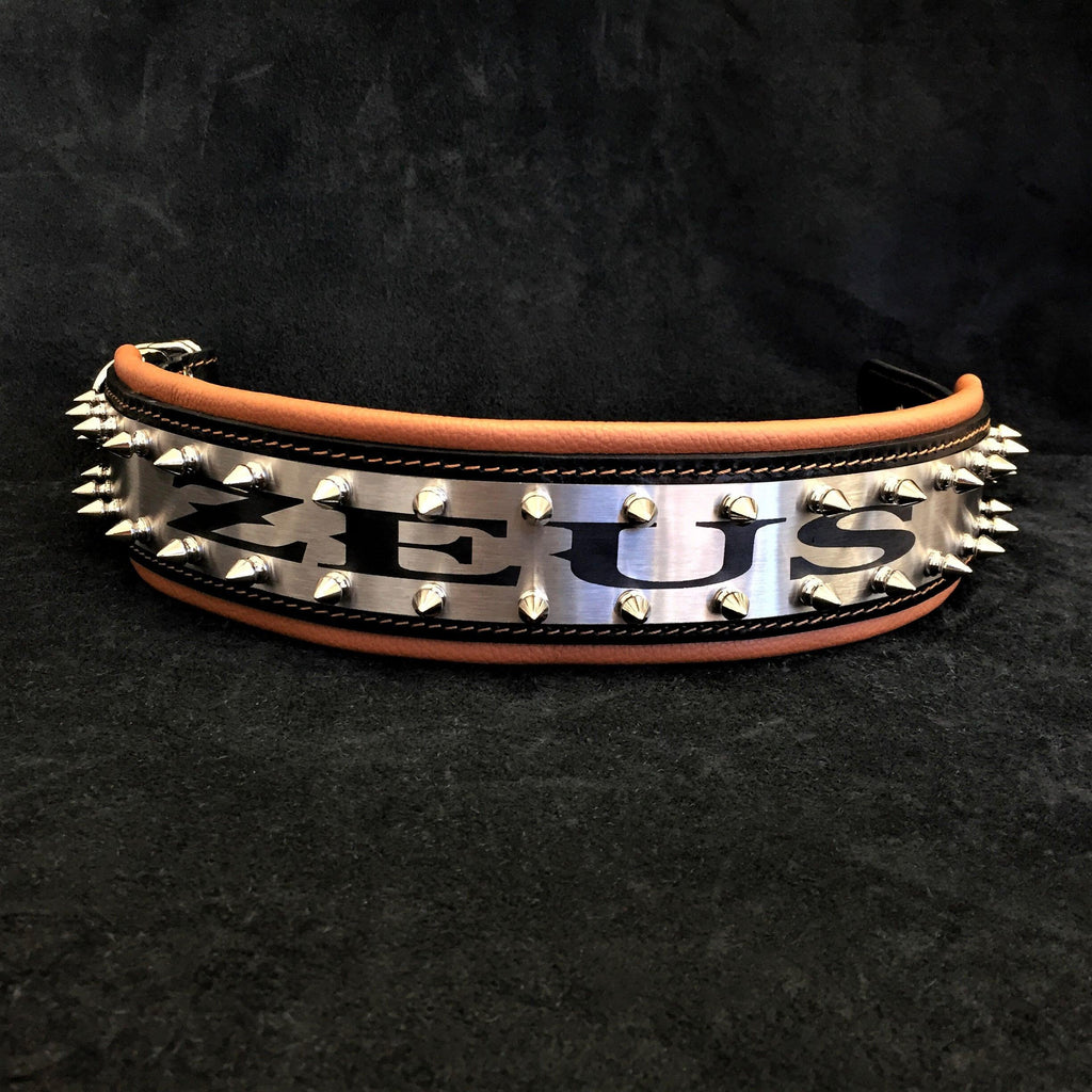 The "Metal" collar- personalized! Bestia Dog Gear