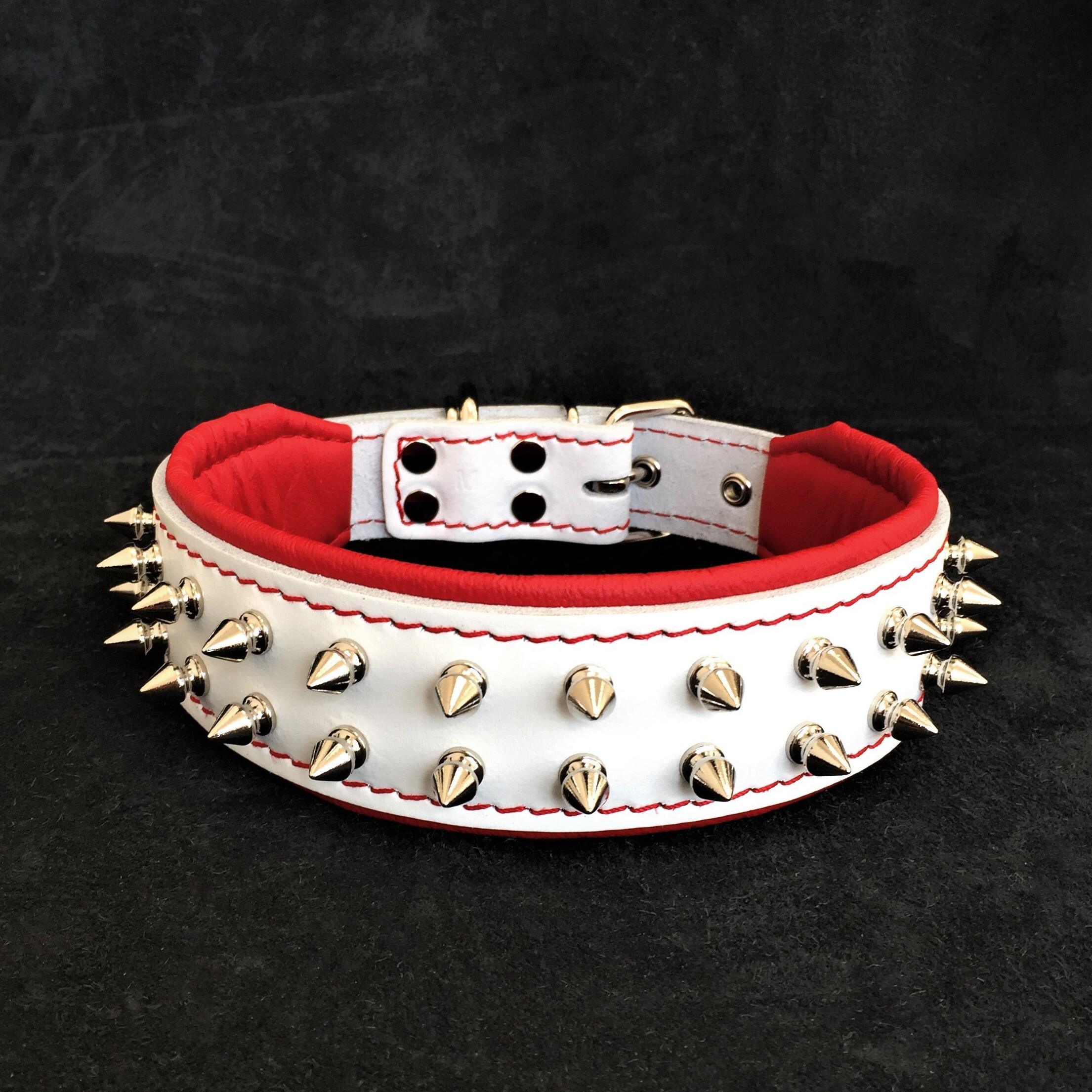 White "Frenchie" dog collar - SJB-DIAMOND ELITES