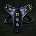 ''Bijou'' harness Black & Blue for big dogs - SJB-DIAMOND ELITES