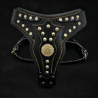 The "Maximus" harness V2 - SJB-DIAMOND ELITES