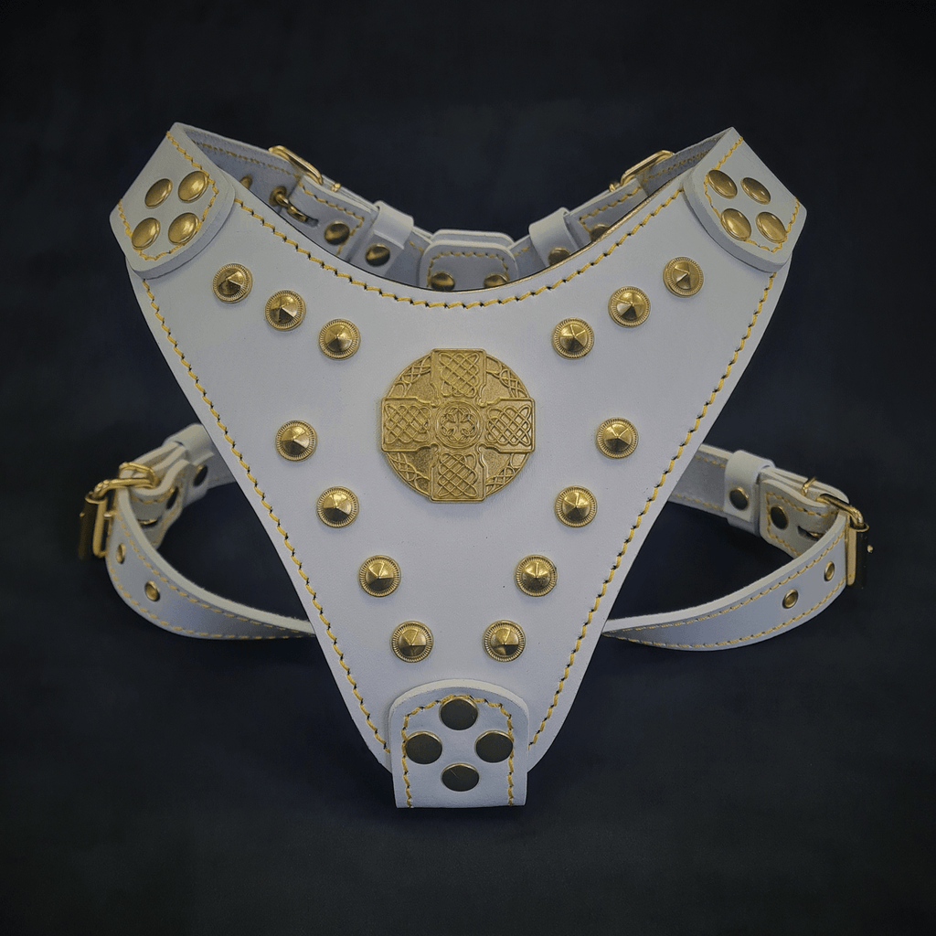 The ''Maximus'' harness White & Gold Small to Medium Size - SJB-DIAMOND ELITES