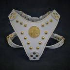 The ''Maximus'' harness White & Gold Small to Medium Size - SJB-DIAMOND ELITES
