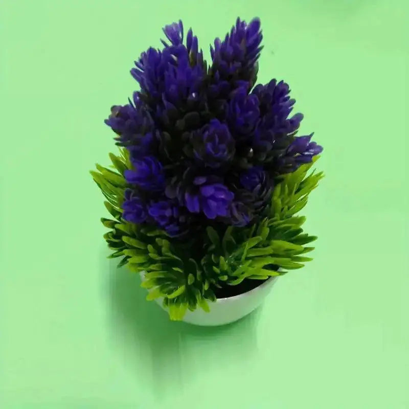 Small Bonsai Tree Pi-Mart