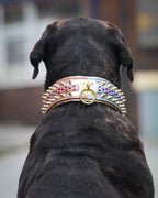 The Candy Dog Collar Bestia Dog Gear