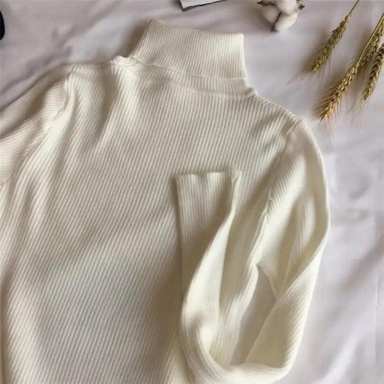 Vintage Style Autumn Winter Thick Sweater For Women Knitted Ribbed Pullover Sweater Long Sleeve Turtleneck Slim Jumper Soft Warm Pullover Stevvex