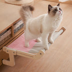 Cat Window Hammock Bed