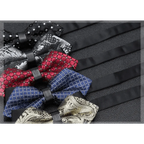 Wedding Men Butterfly Bowtie Formal Bow Ties Beautiful Printed Men Luxury Adjustable Business Bowties Stevvex