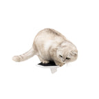 Wooden Cat Step - White
