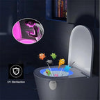 Toilet Night Light For Bathroom Pi-Mart