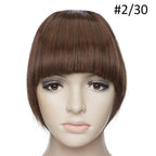 Women Clip In Hair Bangs Hairpiece Clip In Hair Extension Synthetic Hair Extension Blunt Bangs Fake Bangs For Women Flat Neat Bangs With Temples For Women One Piece Hairpiece Stevvex