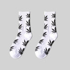 Women Korea Funny Socks Long Socks Black Cool Socks Harajuku GD Hip Hop Cotton Skateboard Socks Men New Trend Daisy Socks Men Stevvex