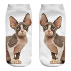 Women's Funny Animal Cute 3D Print Kitten Socks Women Ankle Socks Unisex Socks Fashion Socks Cartoon Cat Fashion Style Casual Boat Socks For Men And Women