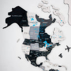 Bundle: Colored Map and Airplanes Pins - SJB-DIAMOND ELITES