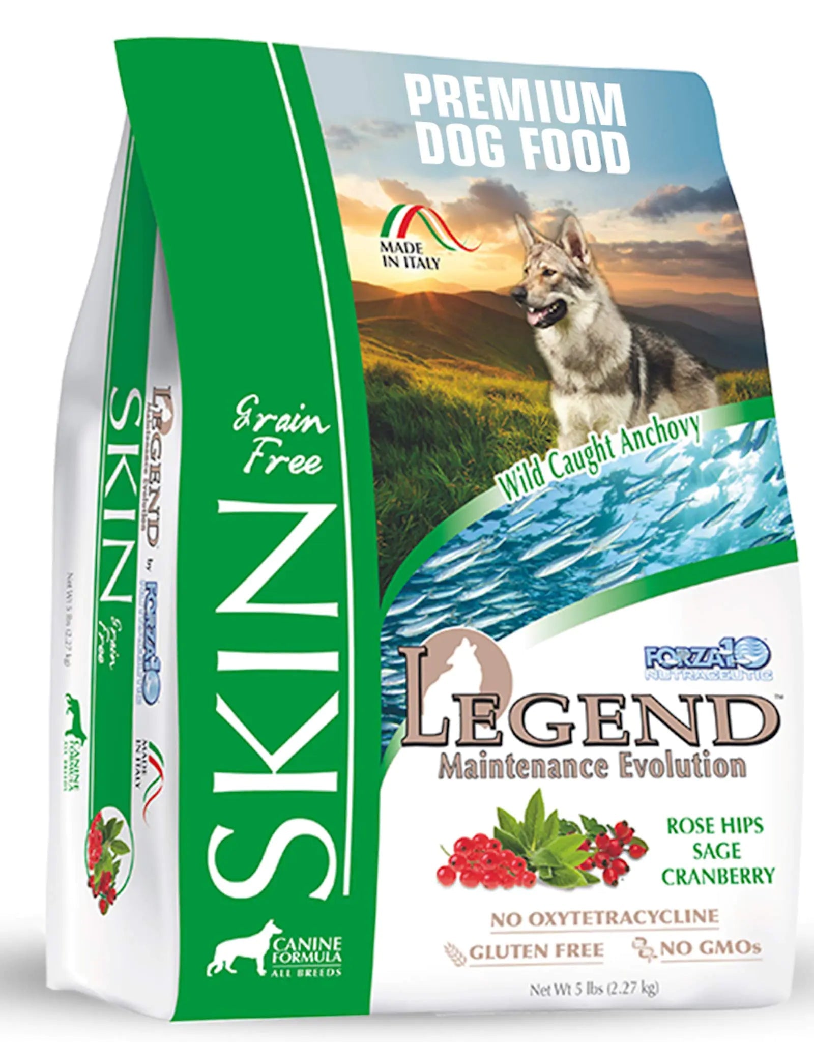 Forza10 Legend Sensitive Skin Dog Food Grain Free Dry Dog Food for Sensitive Skin with Curative Herbs Wild Caught Anchovy Flavor Allergy Dog Food for Adult Dogs Pack of 1 (5 Pounds) Lootquake LLC